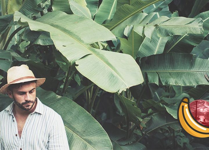 Camo Columbo, Tropical Vibes and a Summer Spell