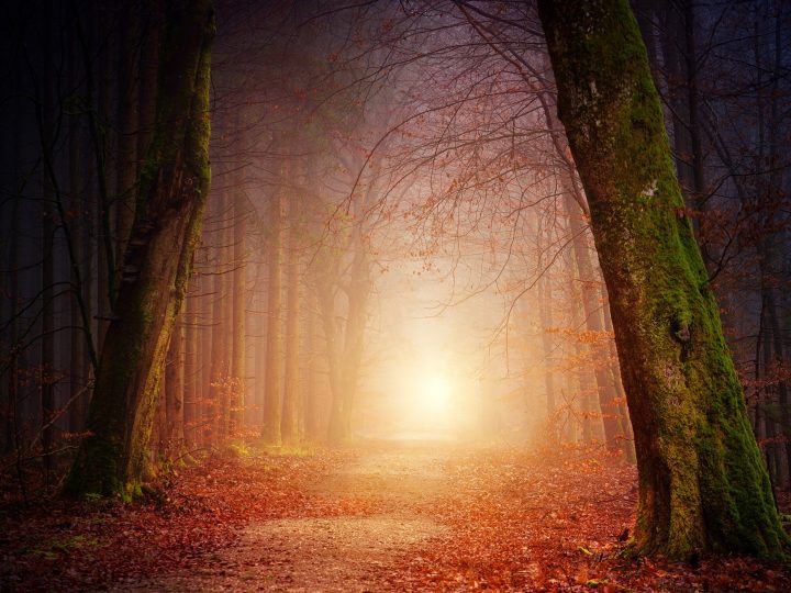 The best 10 songs for autumn 🍁