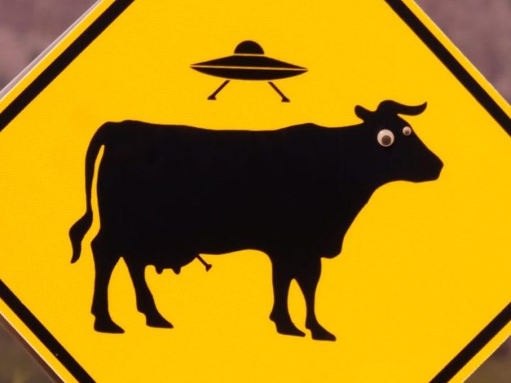 5 Of The Weirdest Song Lyrics Of All Time