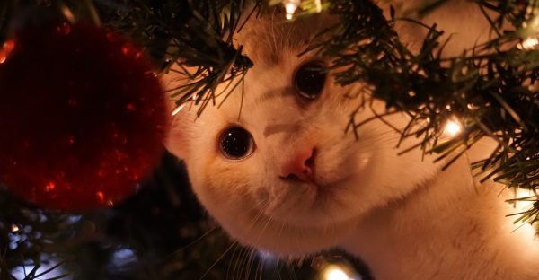 Indie Grooves for Xmas Moves: Indie Xmas Playlist